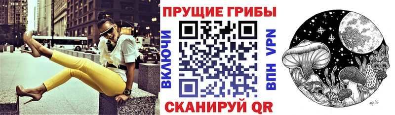 Псилоцибиновые грибы Psilocybine cubensis  закладки  Козельск 