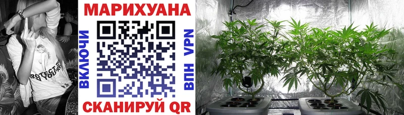 дарнет шоп  Козельск  Бошки Шишки конопля 